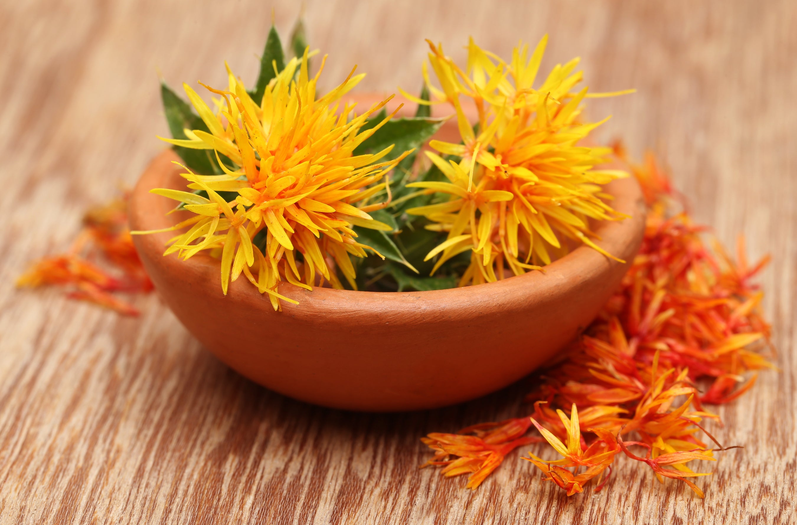 Safflower Plant Facts and Uses: Vegetable Oil, Dye, and Insulin