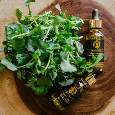 Ingredient Spotlight: Watercress – Nature’s Most Powerful Superfood